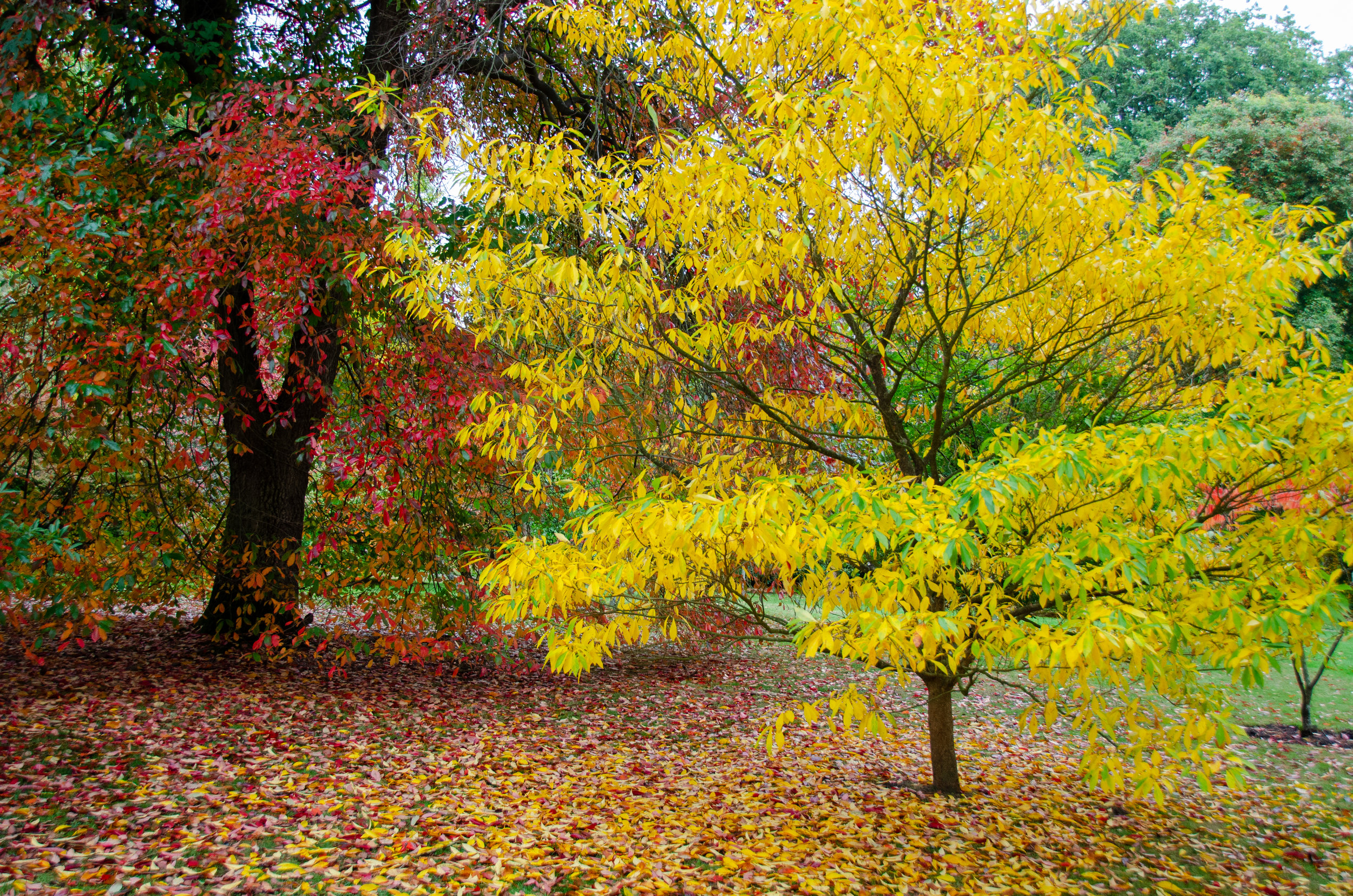 DSC_1060.jpg