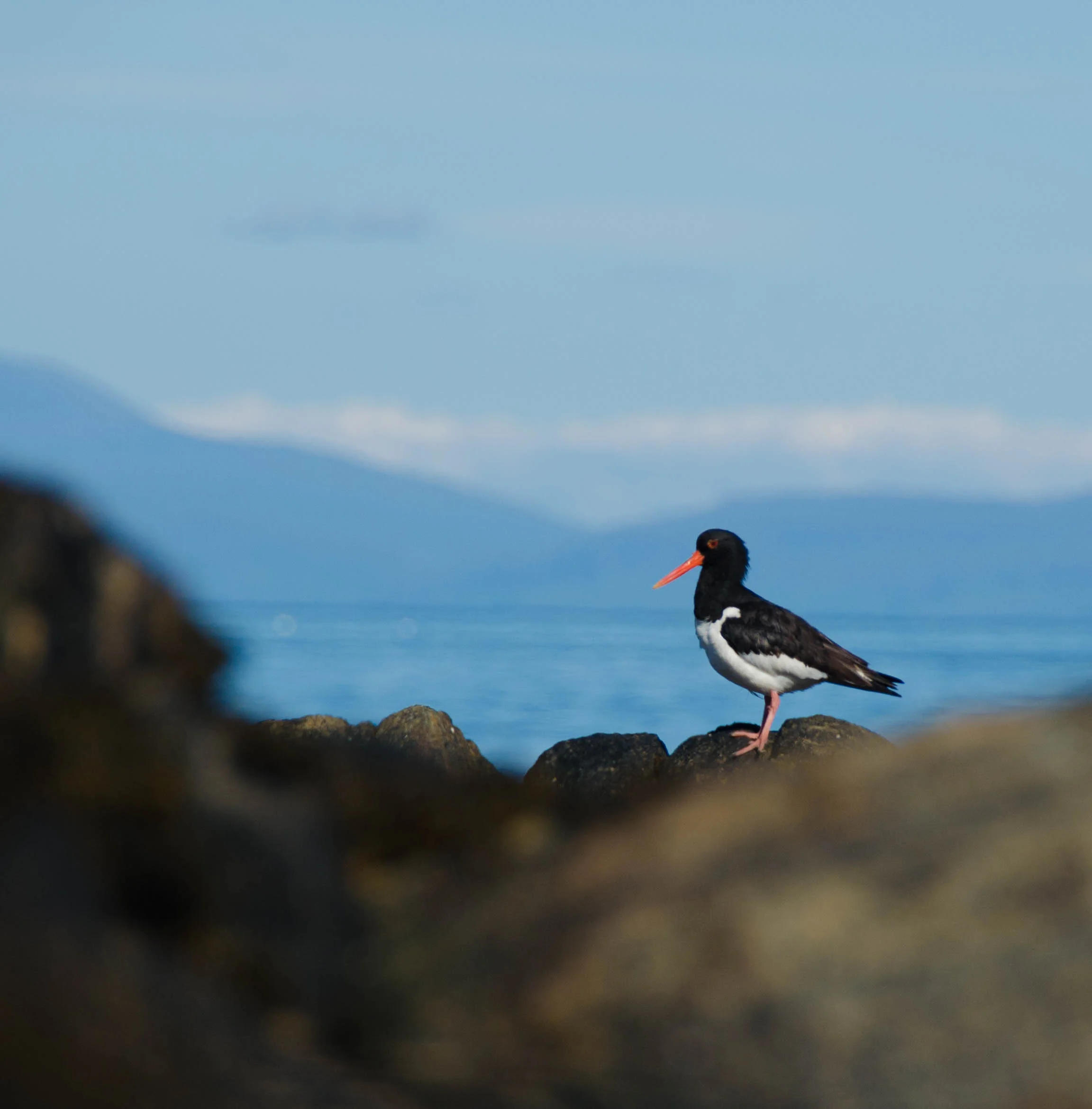 DSC_1366-2.jpg