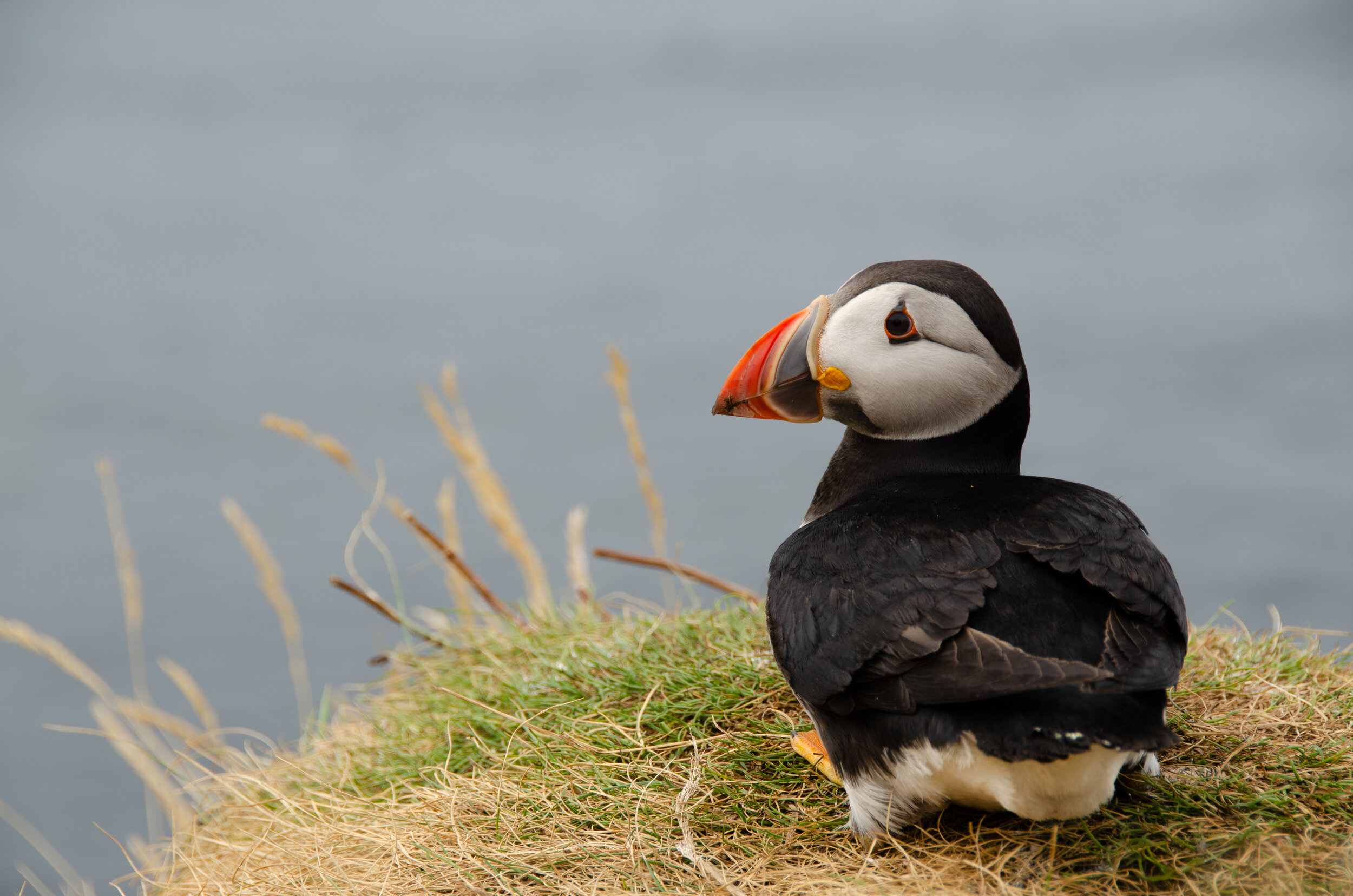 DSC_0555.jpg