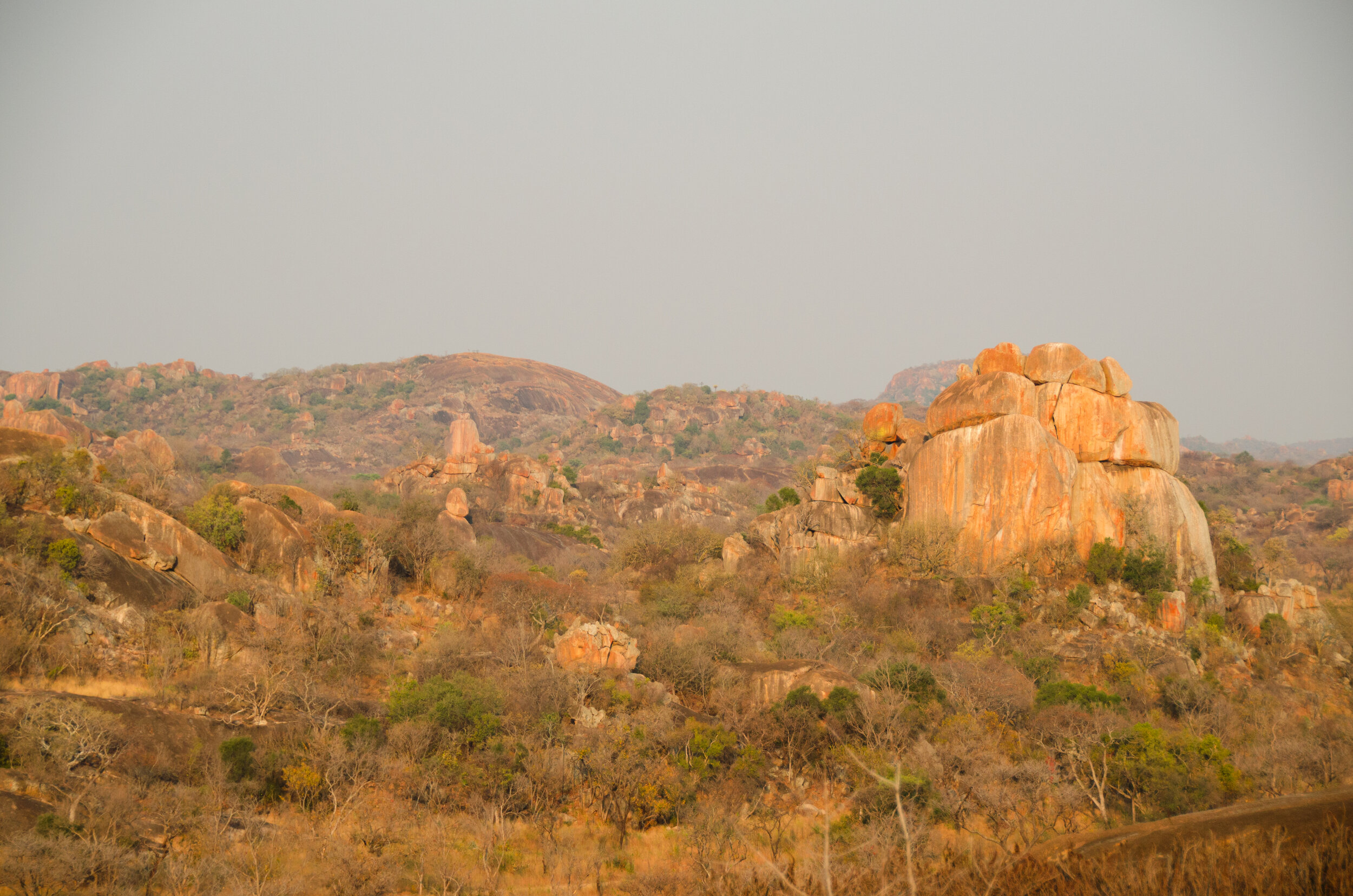 DSC_0538.jpg