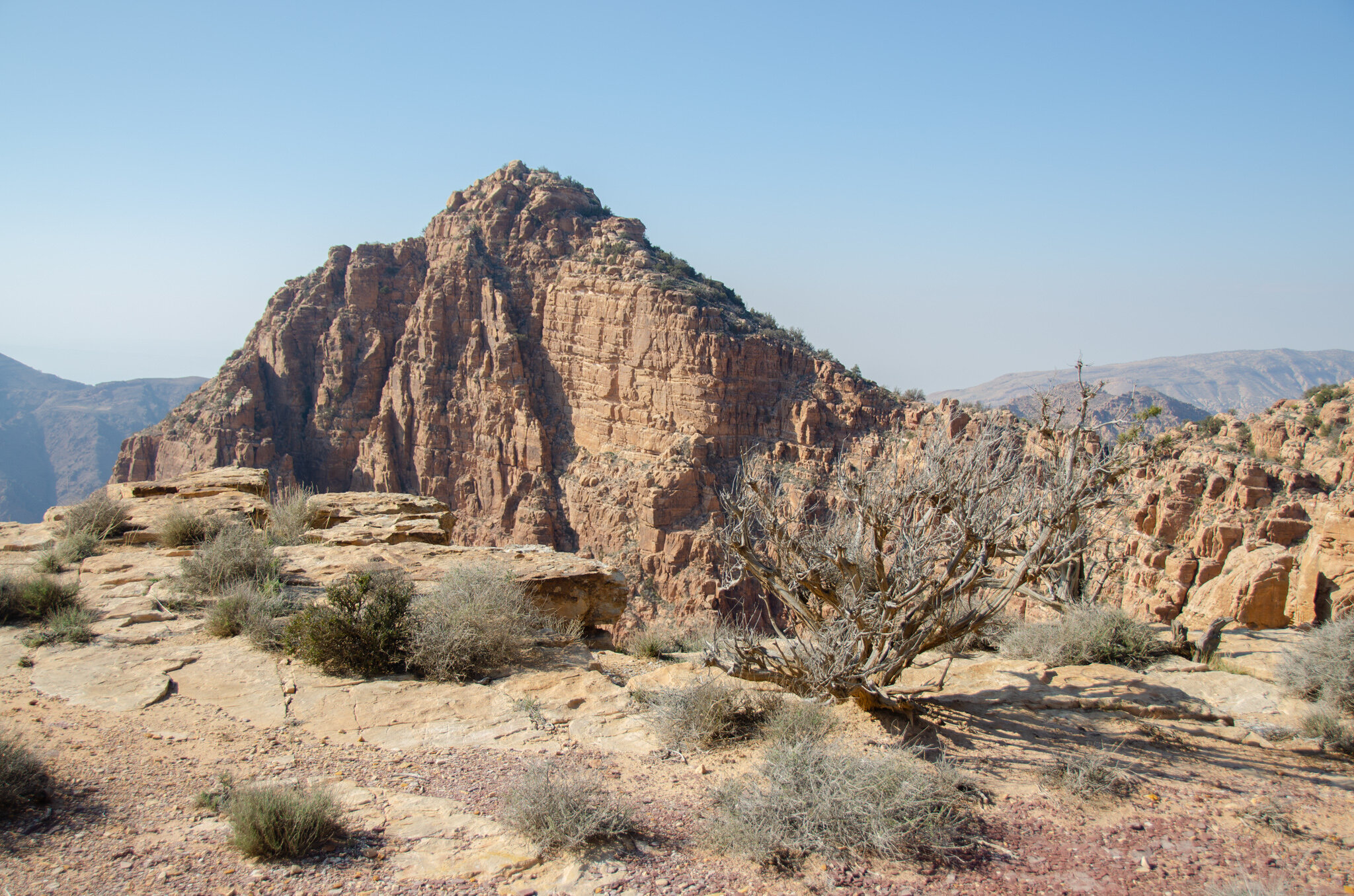 DSC_1688.jpg
