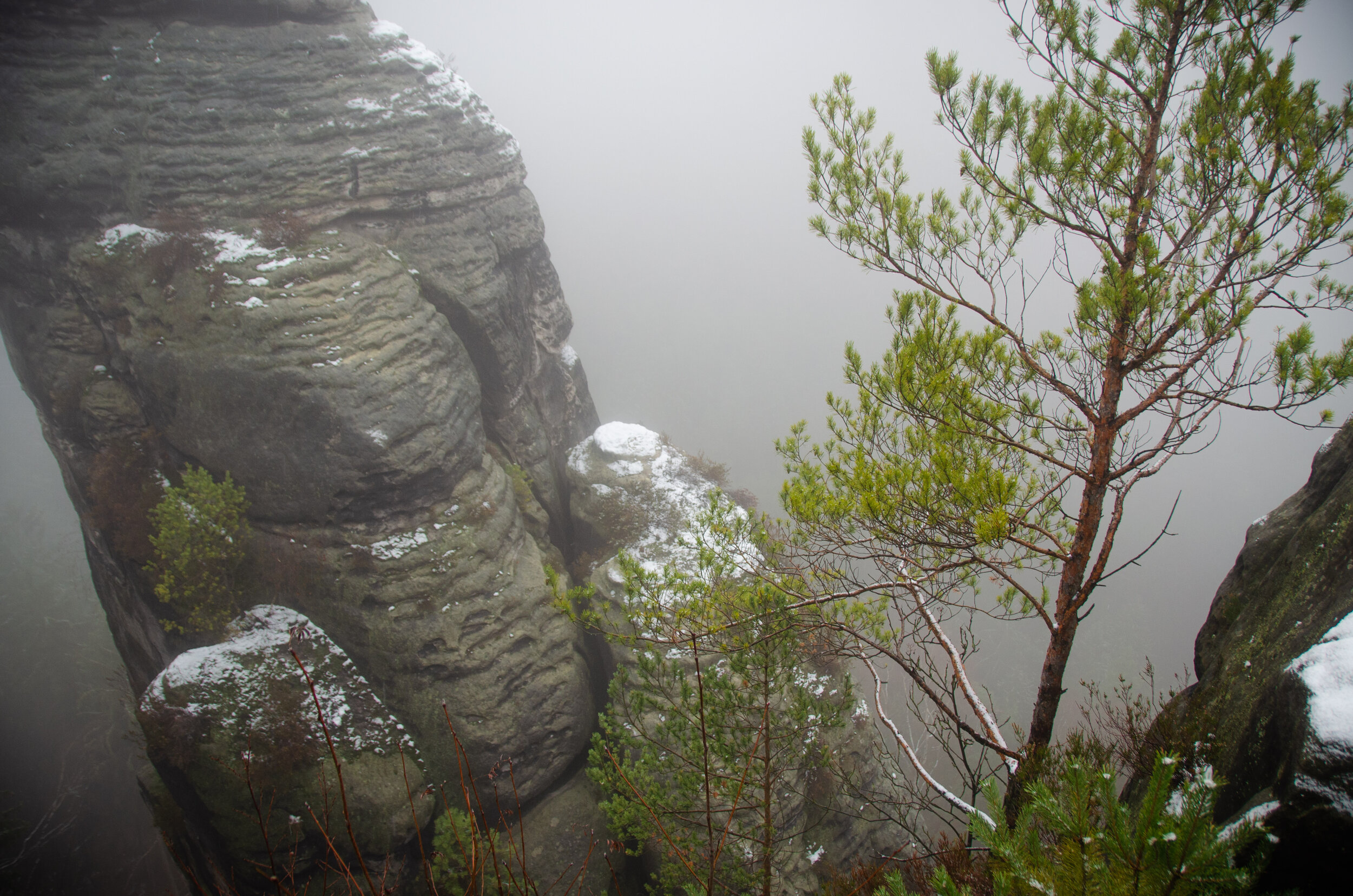 DSC_0459.jpg