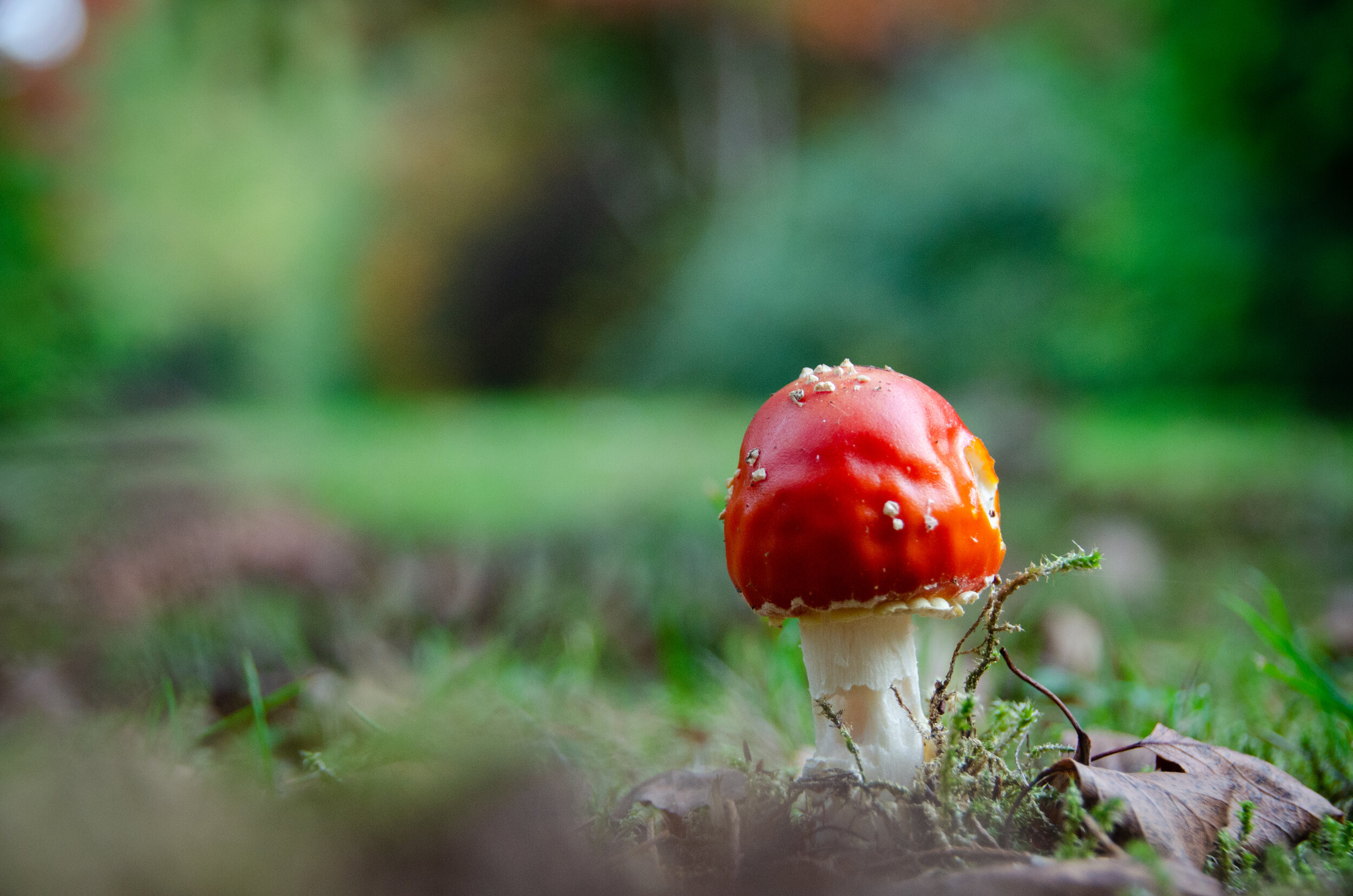 DSC_1156.jpg