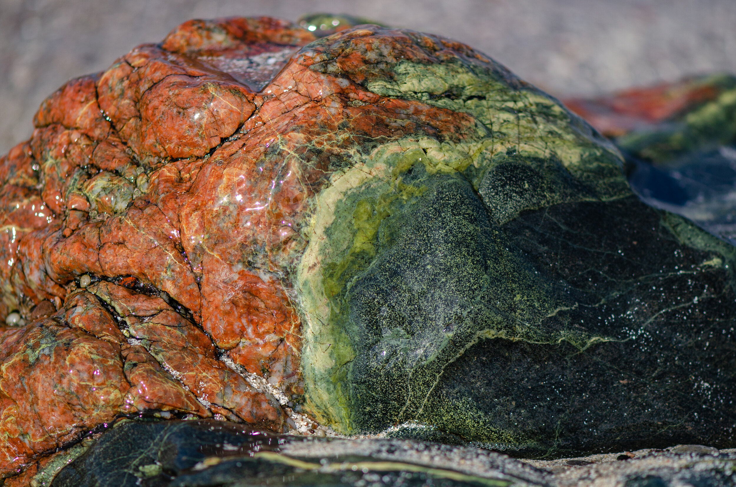 DSC_1304.jpg