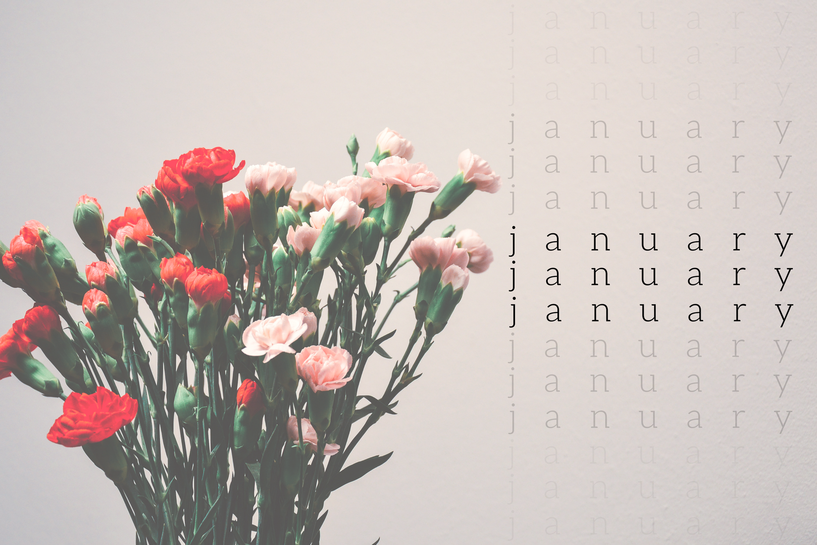 february-2.png