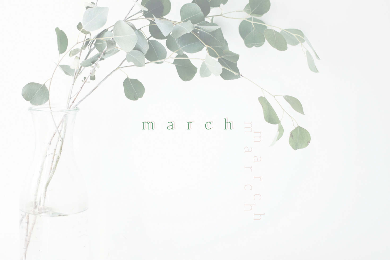 february-3.png
