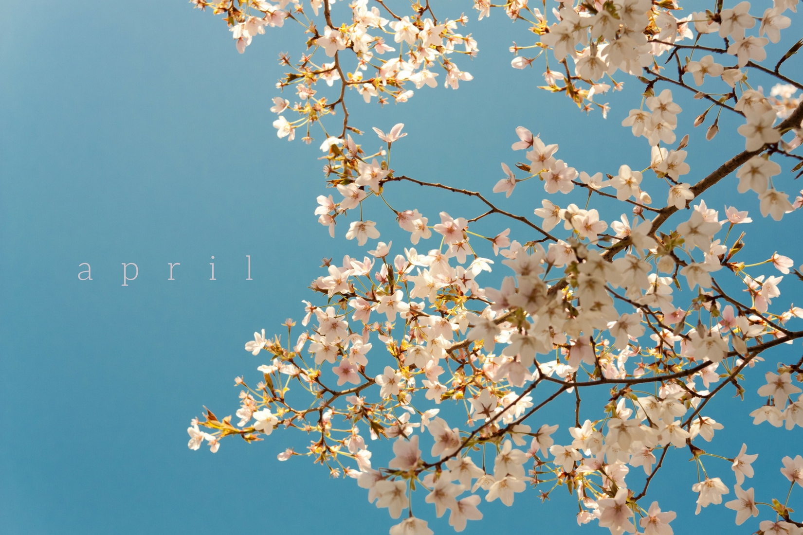 Music-Monthly-Blog-Template.jpg