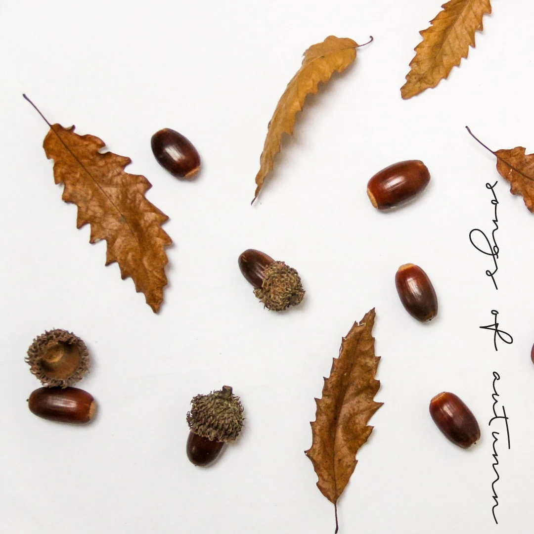 songs-of-autumn.jpg