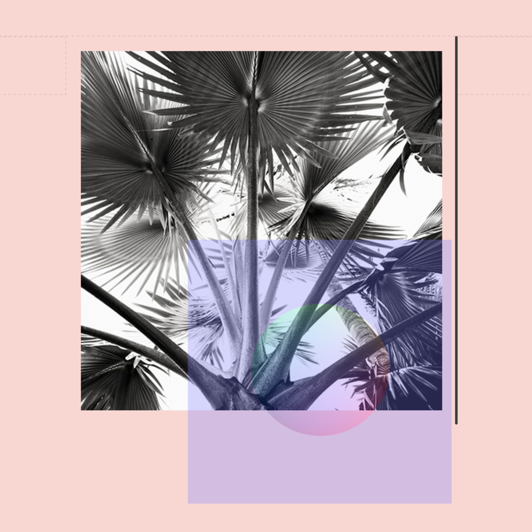 MillicentHawk⌭Optimal-Contact⌭⋅PalmSphere-b.png