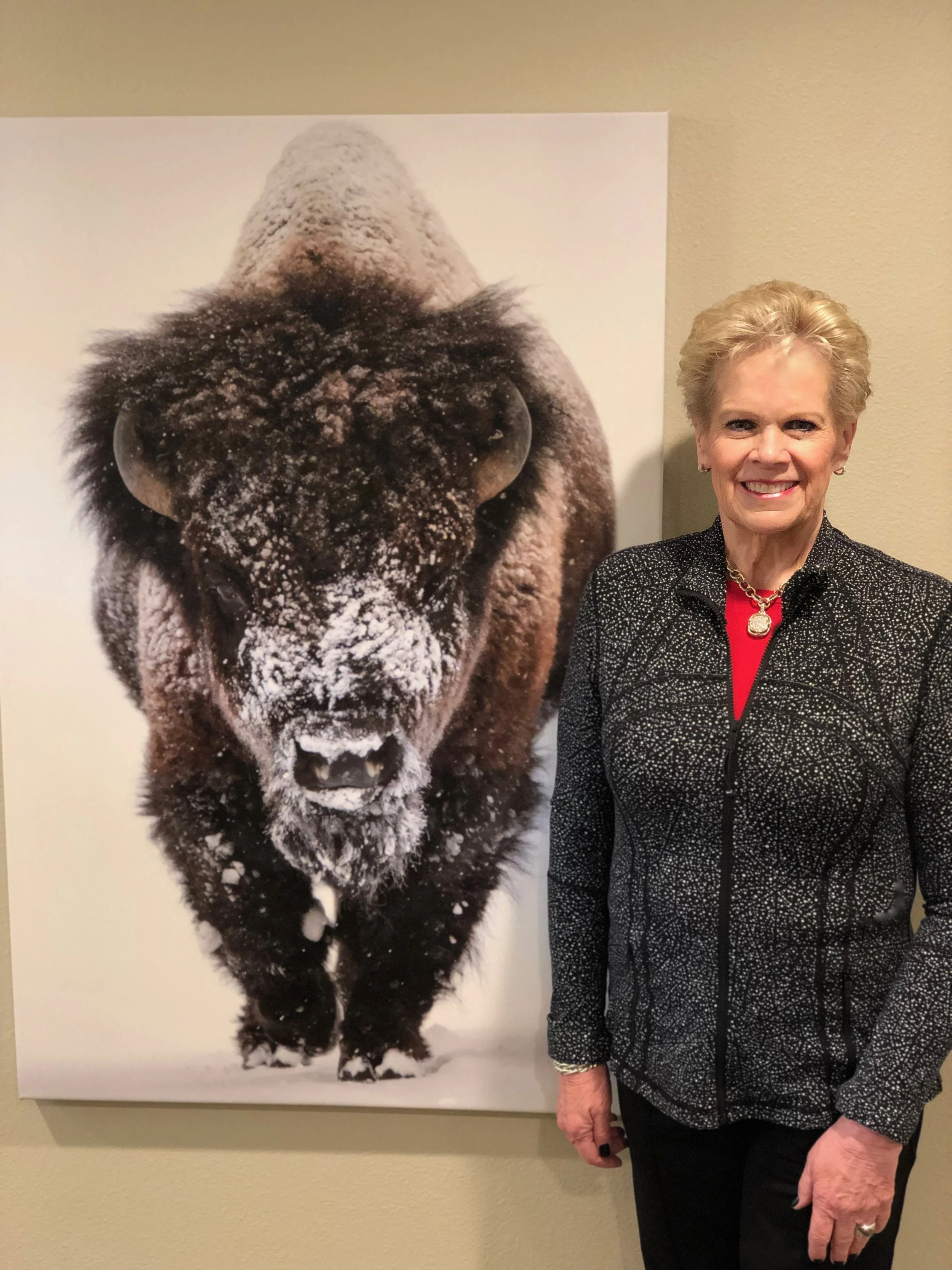 Our bison reminder in the office.