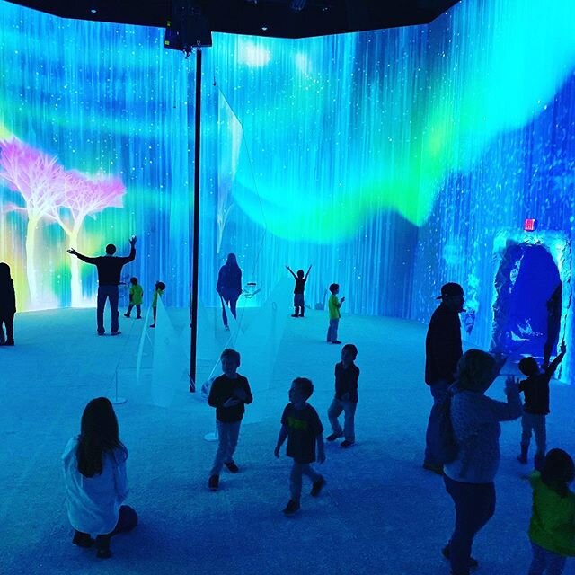We are beginning the new year with an invitation to explore and experience the Northern Lights. A field experience to visit the Aurora Borealis exhibit at the fabulous @artechouse was our first provocation! The languages of light, music, and videogra