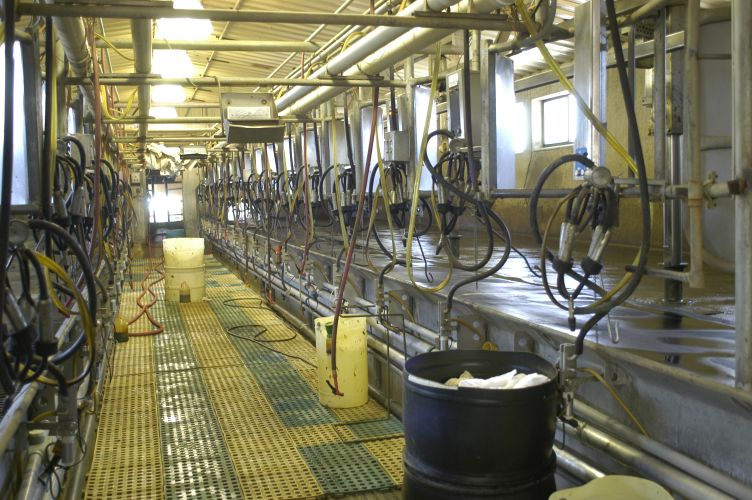 milking parlor.jpg
