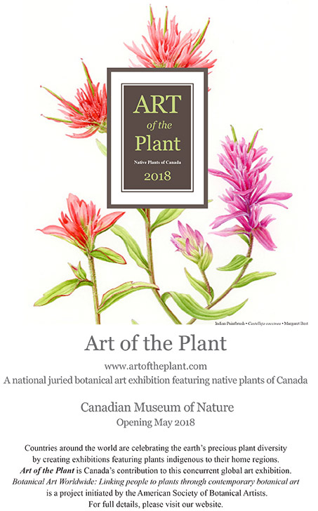 Announcement: Art of the Plant exhibition