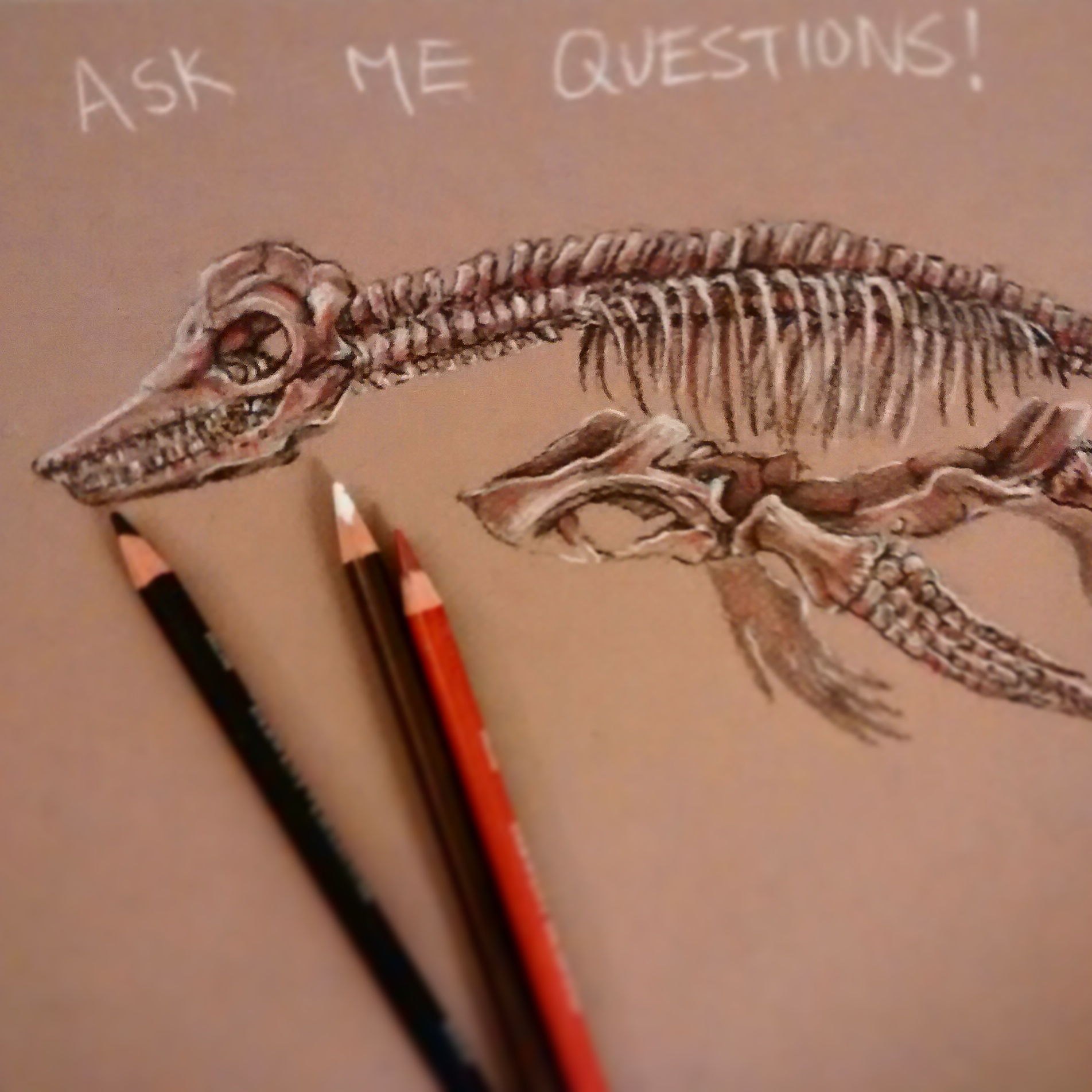 Pliosaur sketch by Ruth Chang. Photo credit: R. Chang