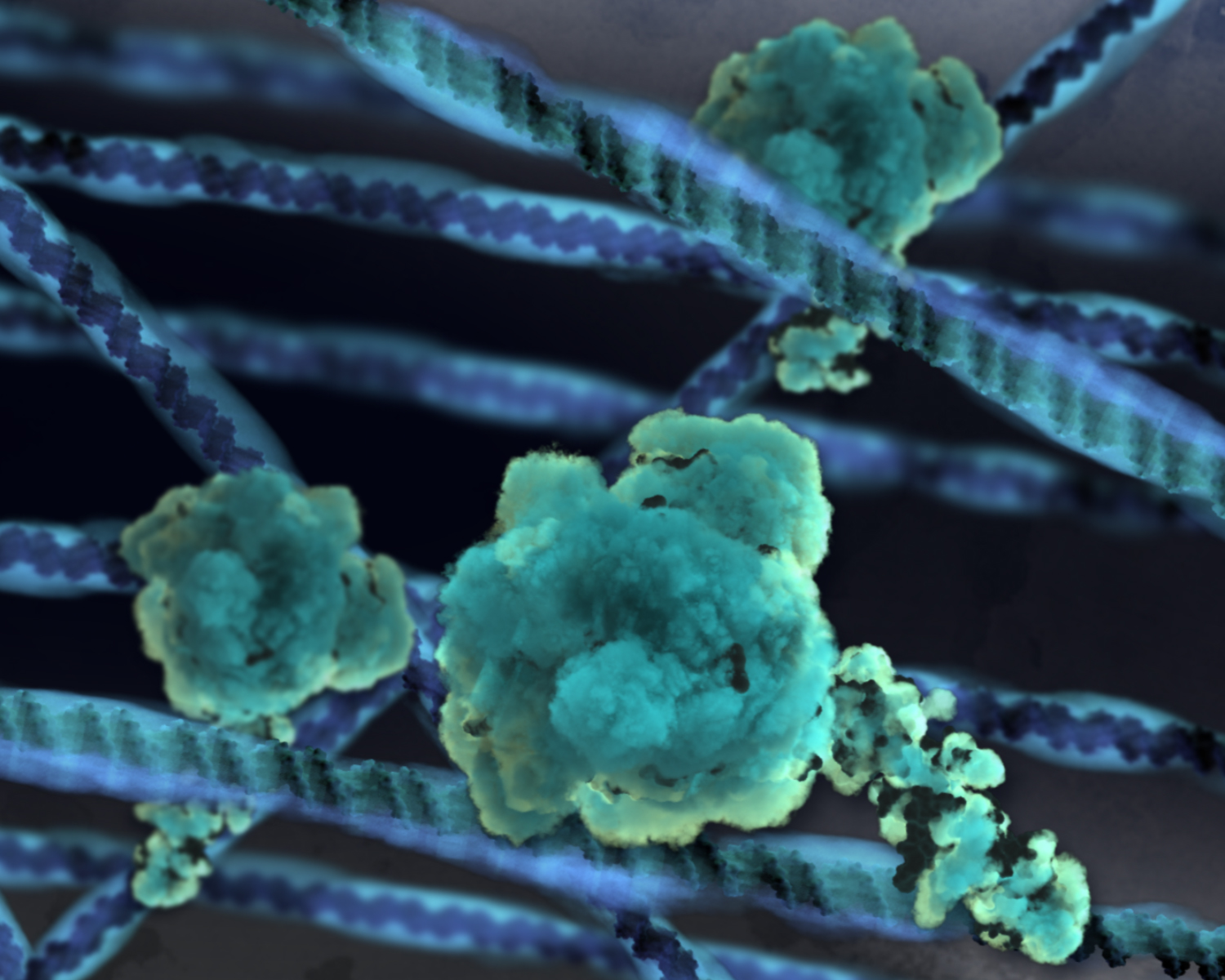 Still from Our Resilient Genome