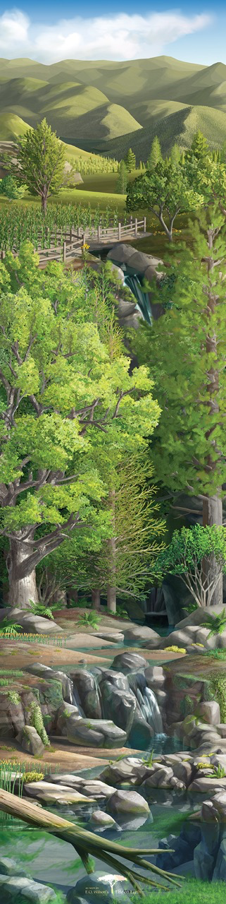 Landscape Tour