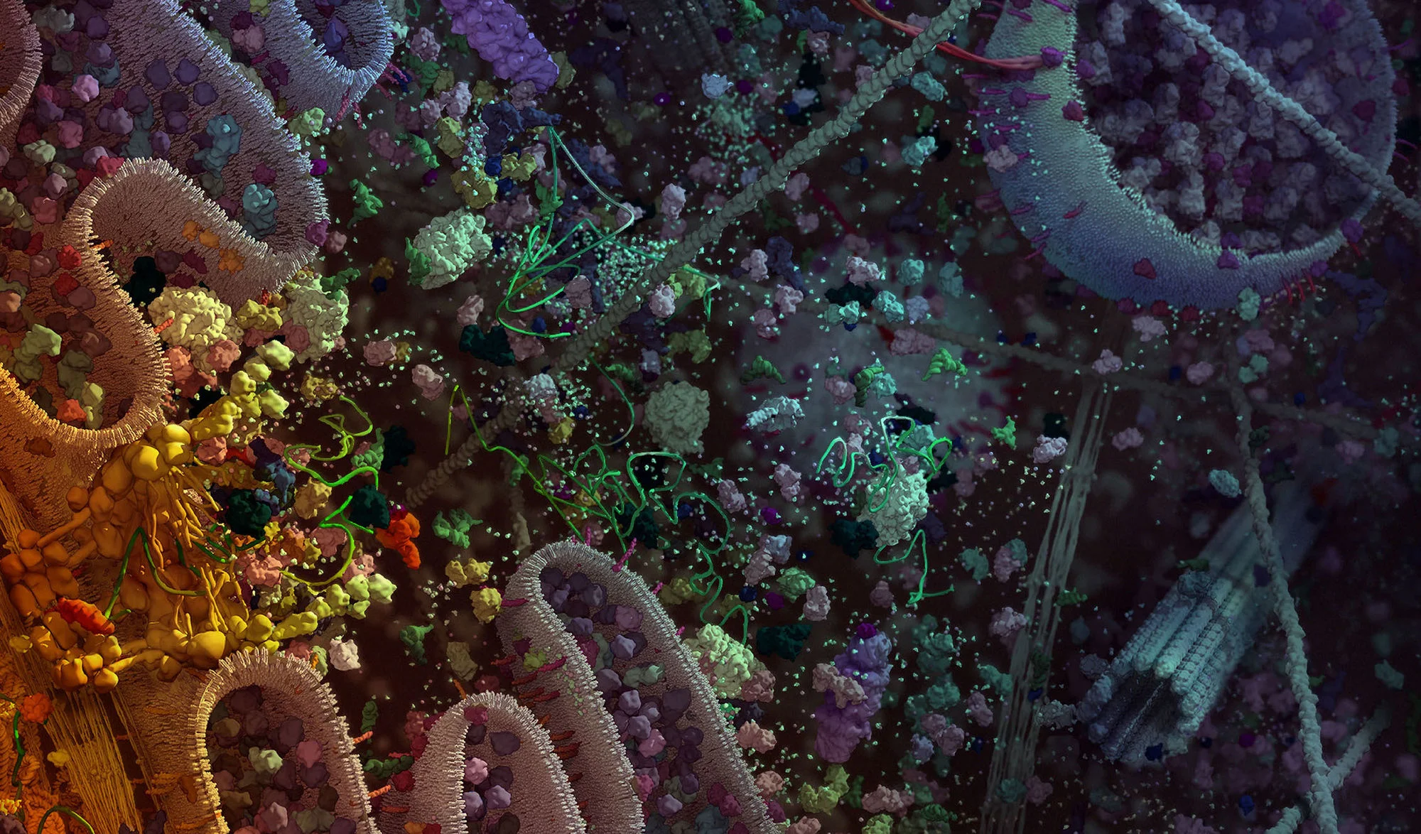 Body Language : the rise of the Biomedical Visualization via A/D/O
