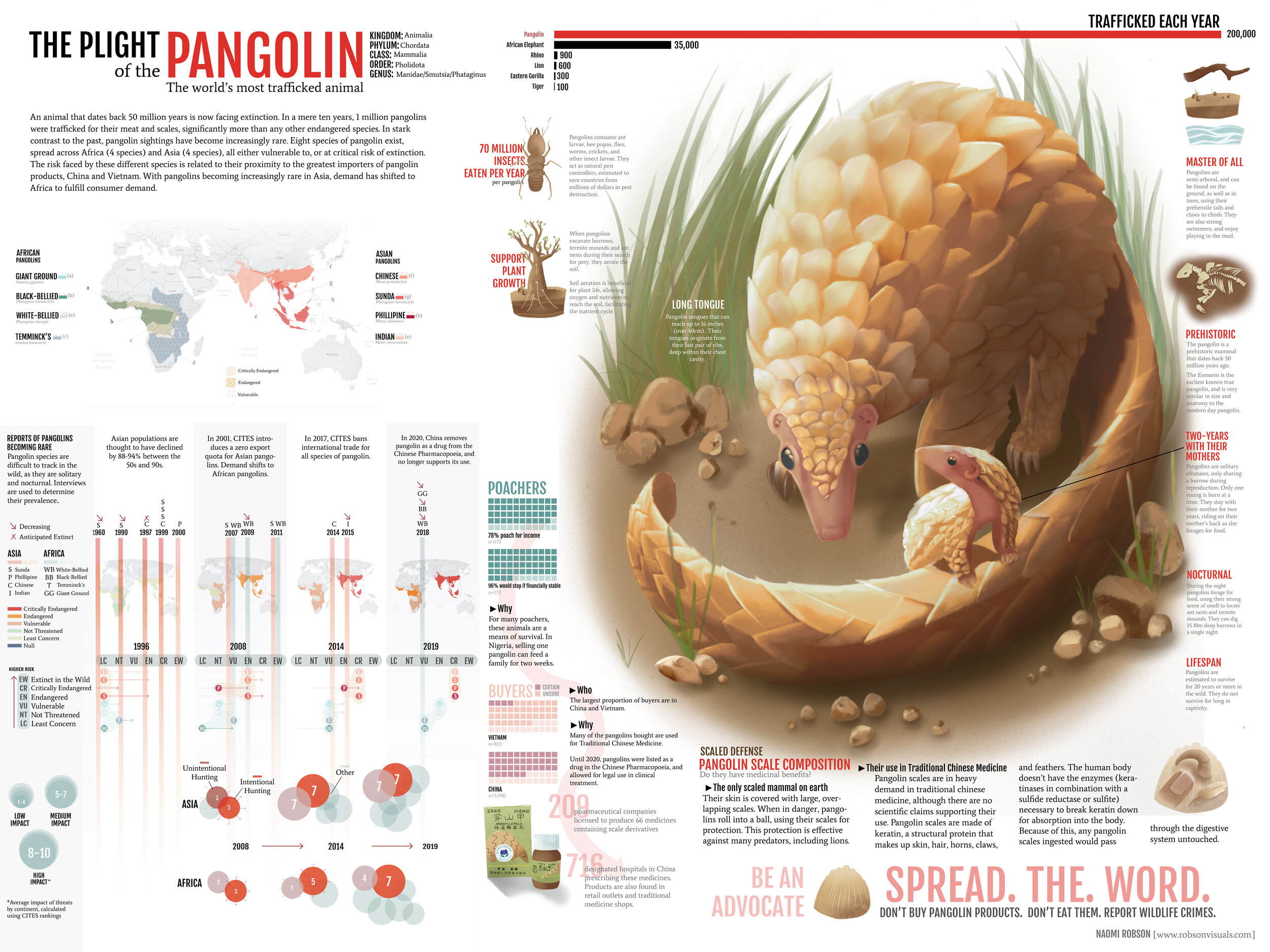 Plight of the pangolin: infographic on global trafficking of the pangolin.