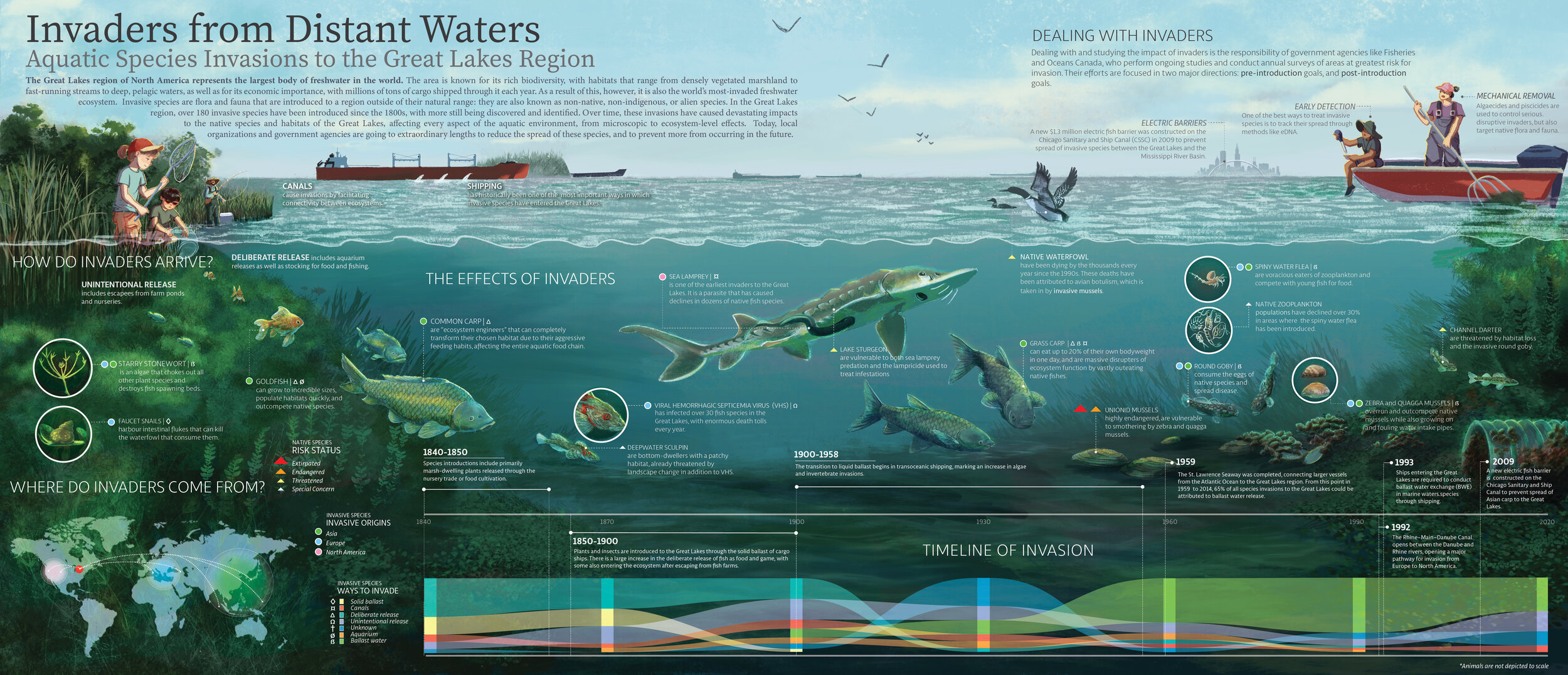 Invaders from Distant Waters: Infographic on aquatic species invasion to the Great Lakes region.