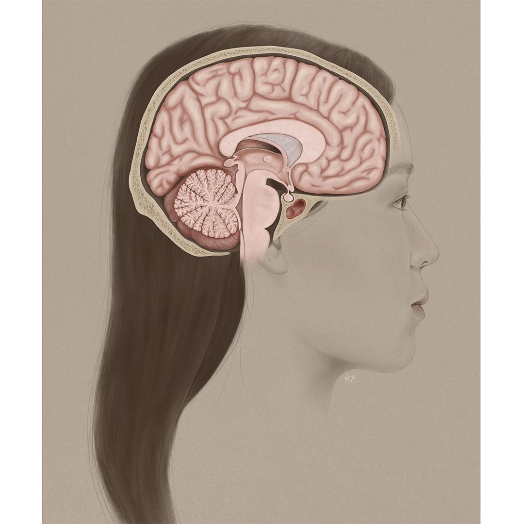 Neuro self-portrait by Alexandra Ka Hei Ho, MScBMC Class of 2022