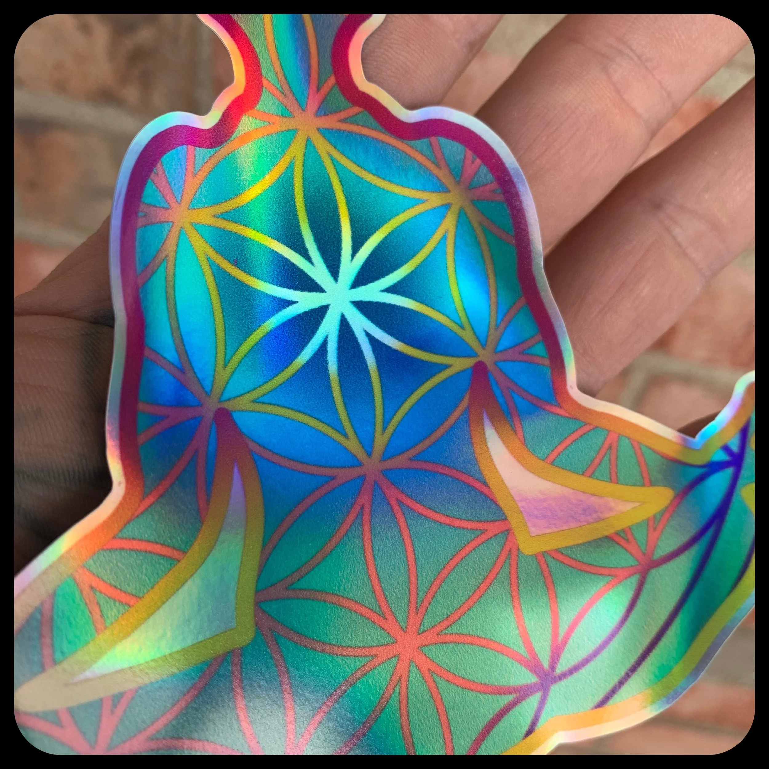 JPEG image-65AE2381D5C5-1.jpeg