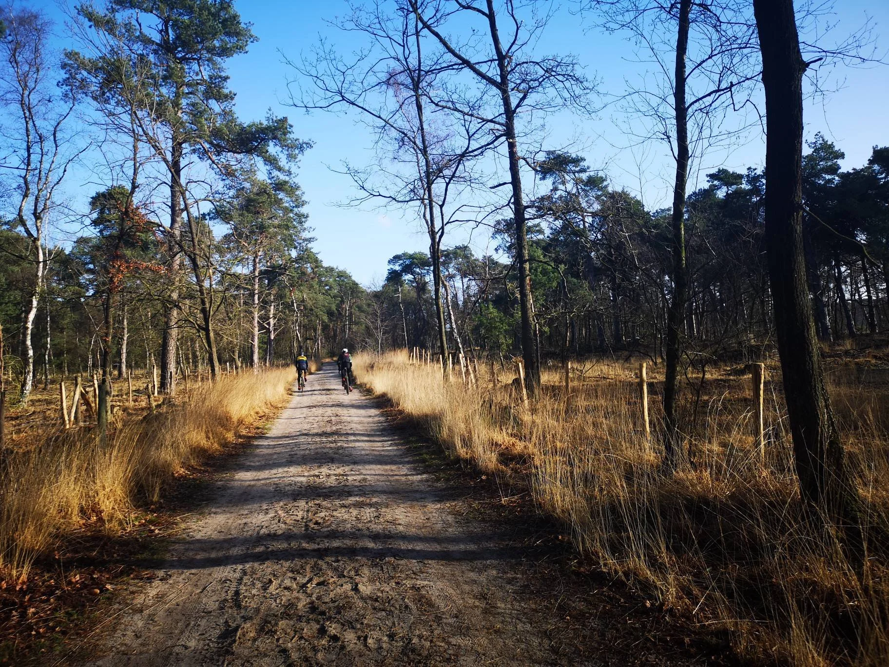 So you think you can gravel