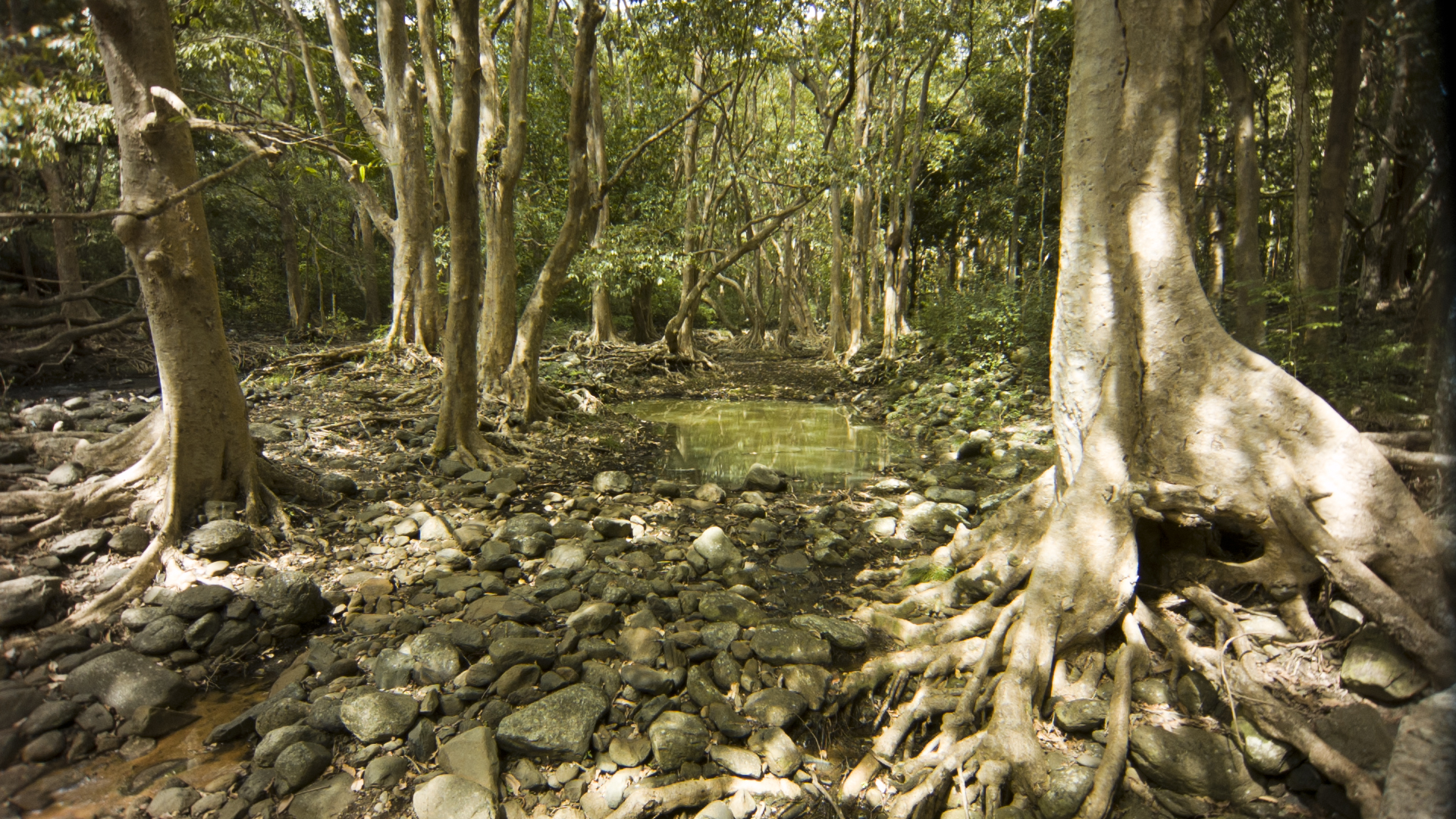 Stills from film: Ile de France, 2015 - Courtesy of the Artist
