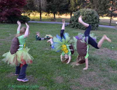DIY Girls' Ninja Turtle Costumes- with TUTUS!
