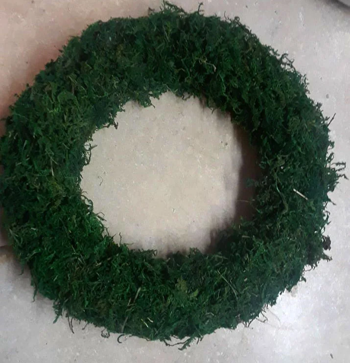Dollar Store Moss Wreath