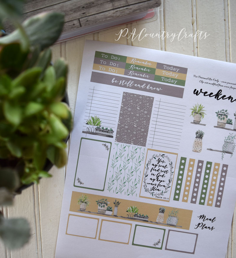 Succulents Planner Stickers