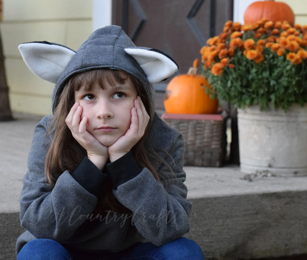 fox-hooded-sweatshirt.jpg