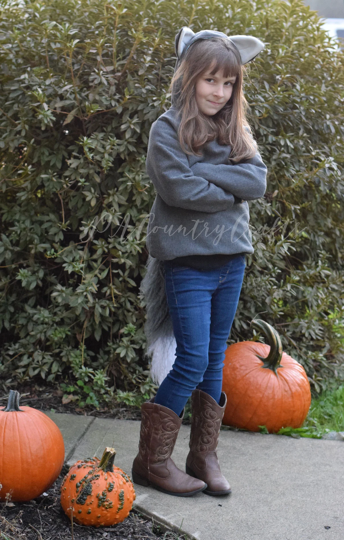 fox-sweatshirt-costume.jpg