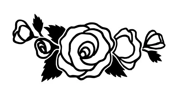 rose bundle separated2.jpg