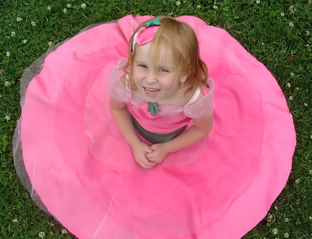 Strawberry Shortcake Ball Gown
