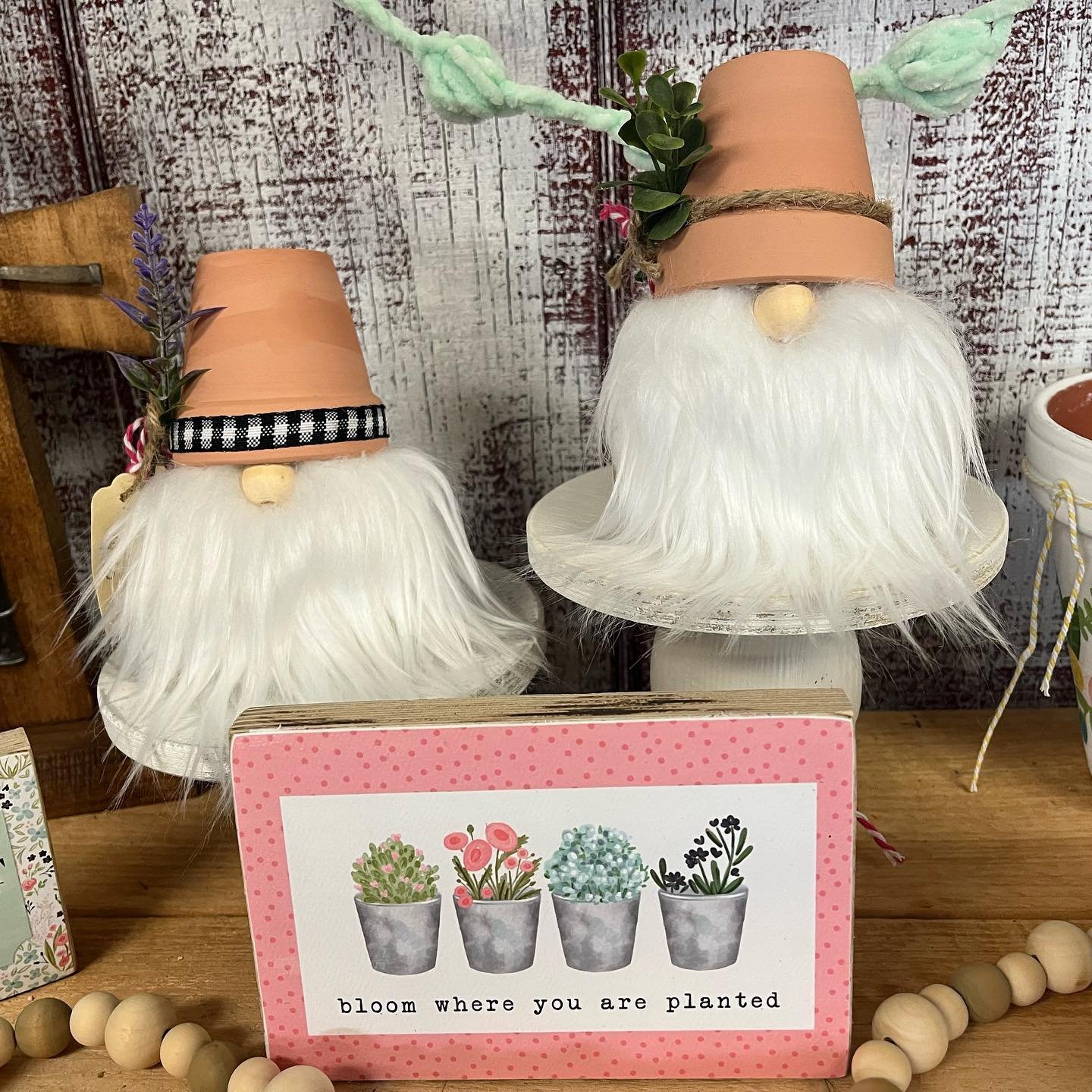 flower pot gnomes.jpg
