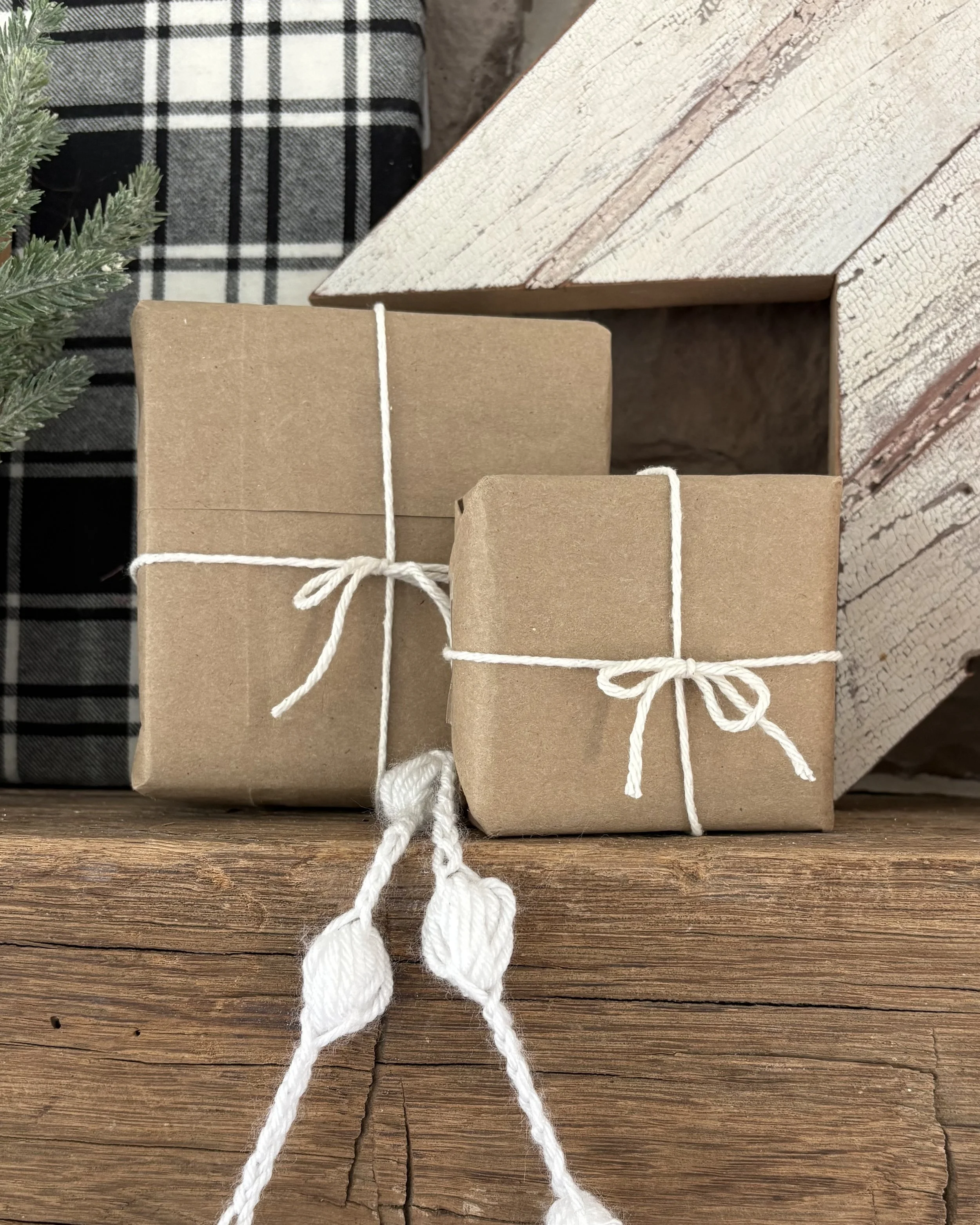 Trader Joe's bag to brown paper packages