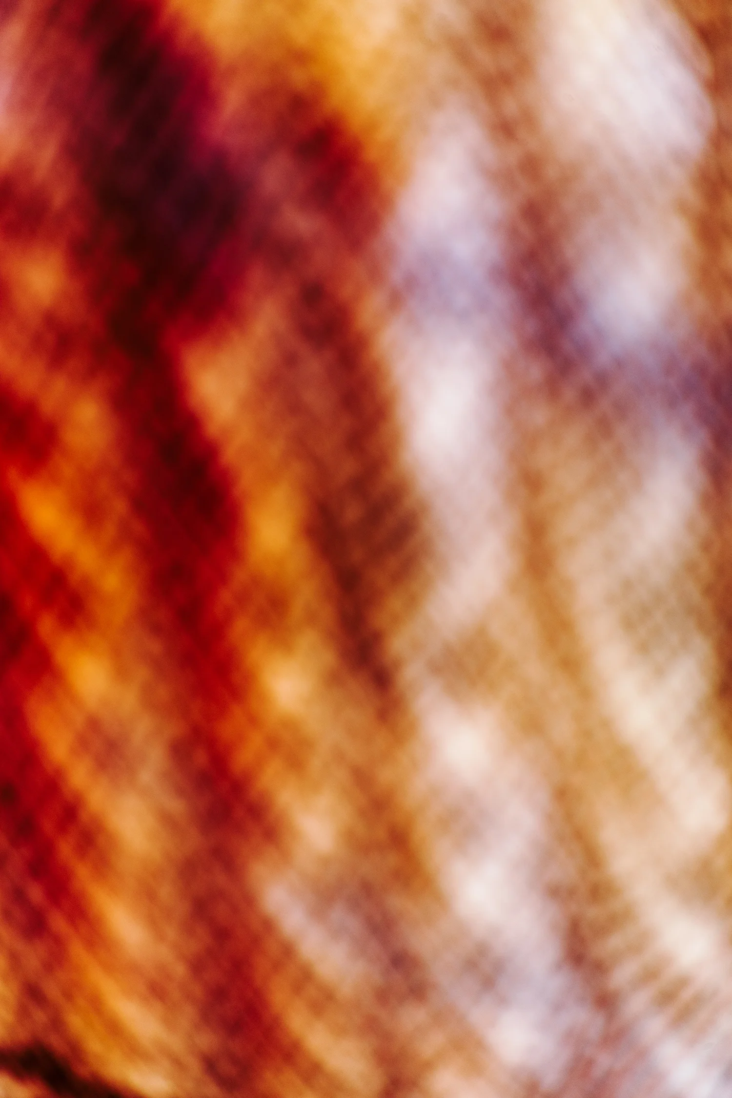 john-rohrer-latticial-interference-dsc4414-web(2500pxw-100ppi)-copy.jpg