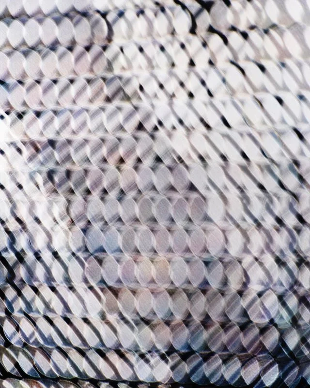 Untitled (DSC5071)
From the #photographic #series #latticialinterference.
#printsavailable .
.
. #art #photography #fineart #fineartphotography #abstract #abstractart #conceptualphotography #conceptualart #latticeforms #light #perception #incamera #p