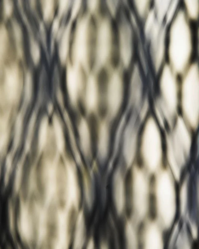 Untitled (DSC0311)
From the #photographic #series #latticialinterference.
#printsavailable .
.
. #art #photography #fineart #fineartphotography #abstract #abstractart #conceptualphotography #conceptualart #latticeforms #light #perception #incamera #p