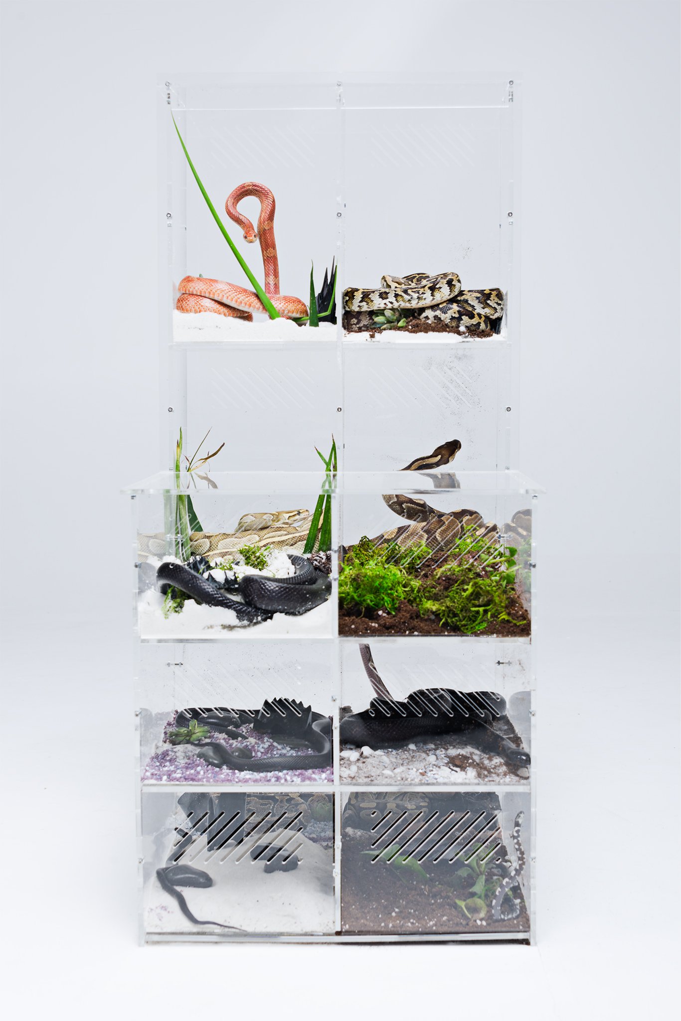 John_Rohrer_ERICA_SELLERS_SNAKES_JR03301-1_IPD(2048PXH_264PPI).JPG
