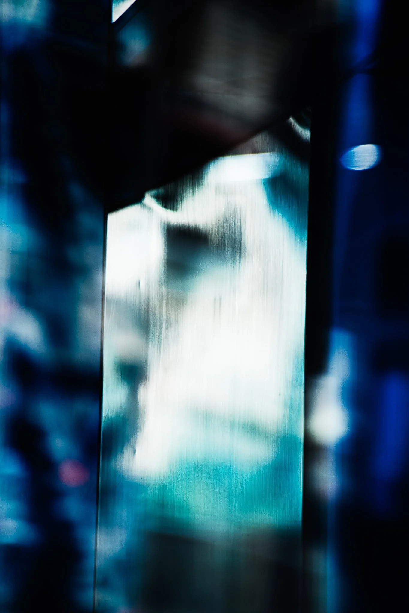 John_Rohrer_EPHEMEREALITIES_001_0JR3845_IPD(2048PXH_300PPI).JPG