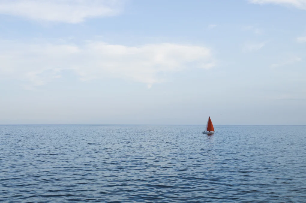 intothewind.jpg