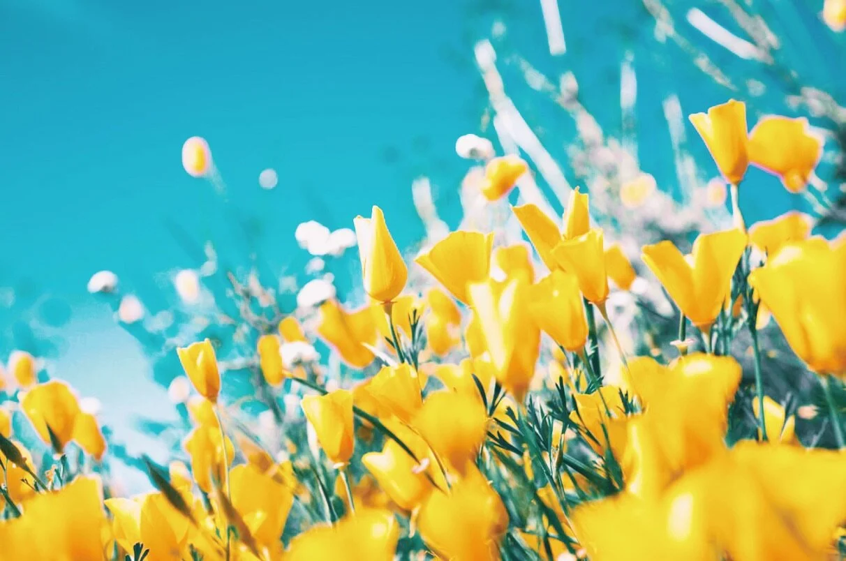 Staying Centered in Uncertain Times