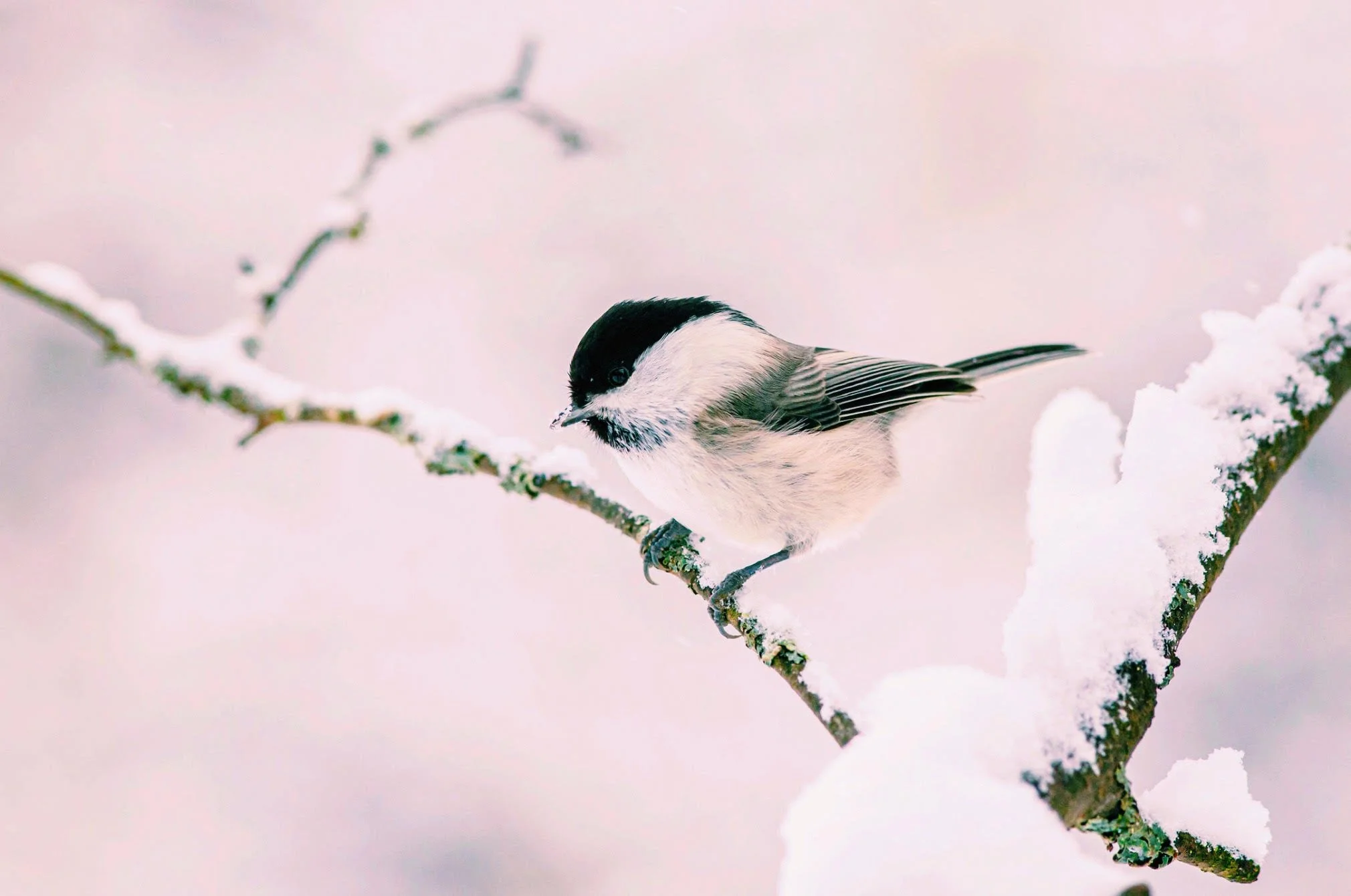 November 2021 Akashic Magic: Simplification