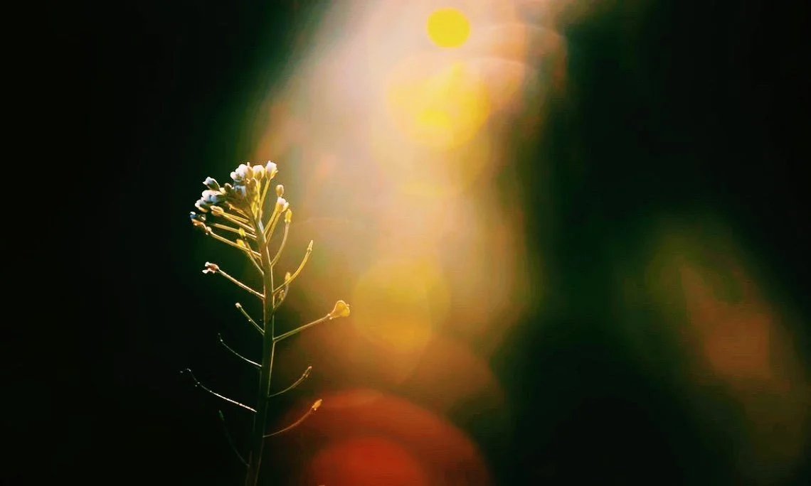 Finding Perspective in Challenge & Change