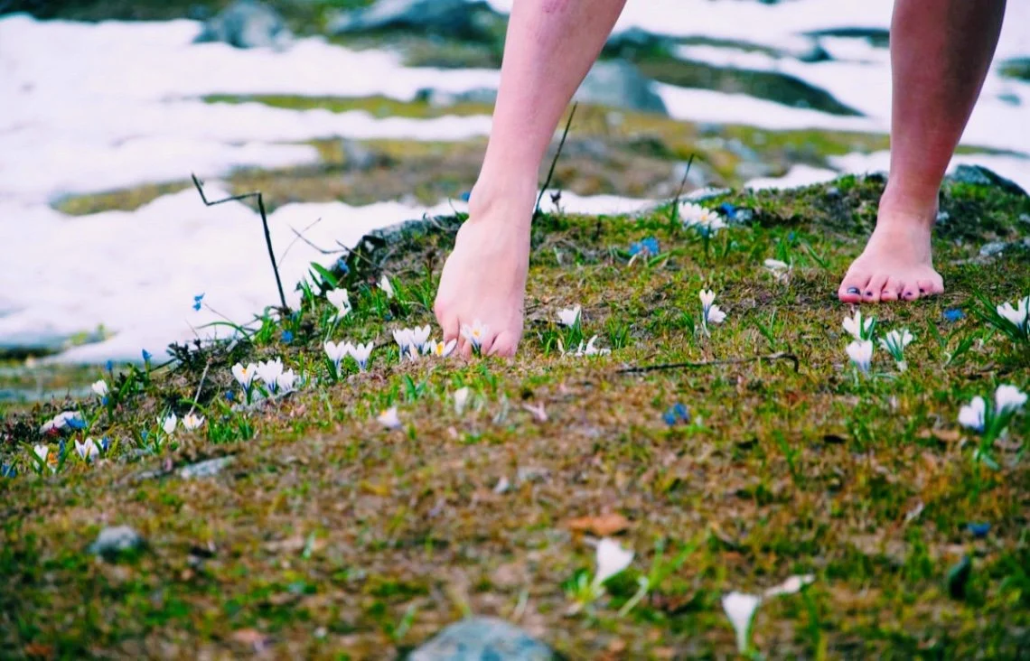 October Akashic Magic: Terra Firma