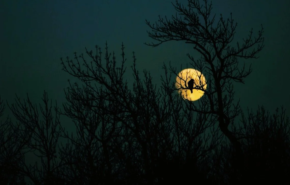 Moon Magic and Self Discovery in October: podcast cliff notes