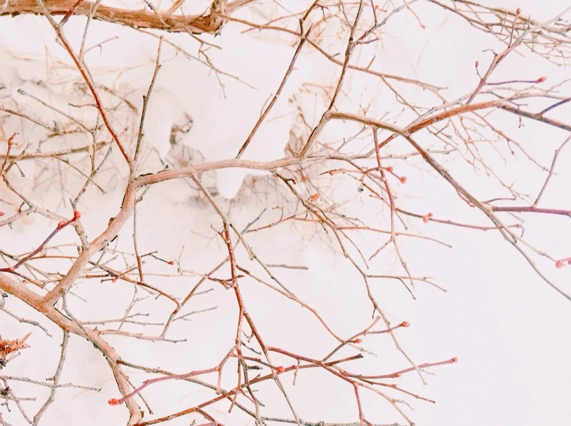 January Akashic Update: New Pathways