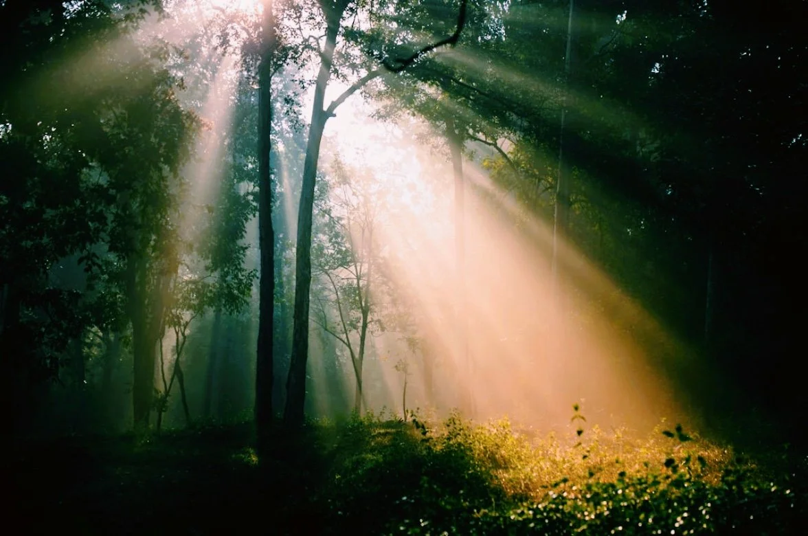 Weekly Energy: Small Shifts, Big Alignment