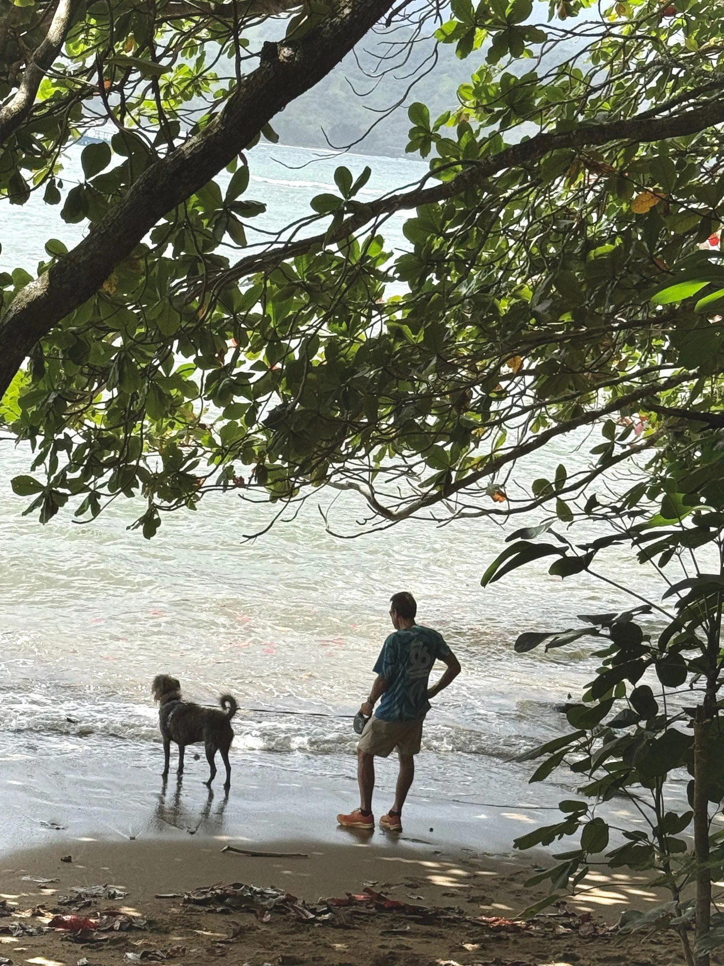 🌿looking forward to weekend adventures
and a little bit of shenanigans

here are a few snapshots from last weekend&rsquo;s beach walk 🐾🌊

sun, sand, tangled leashes
and dogs doing their own thing (as always 🙃)

sometimes the best moments are the 